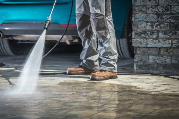 Animal Enclosure Cleaning in Tornillo, TX