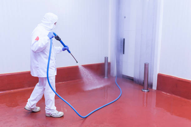 Best Winterizing Services  in Tornillo, TX