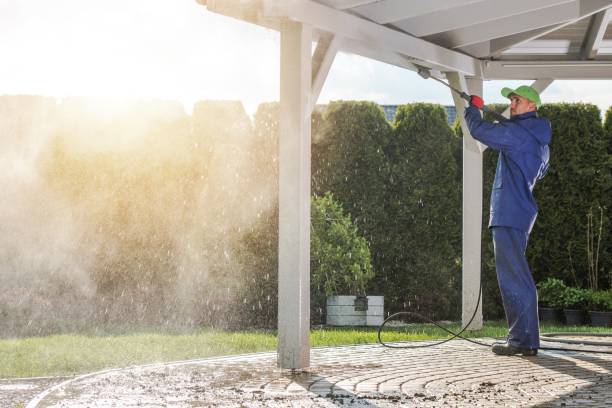 Best Building Exterior Washing  in Tornillo, TX